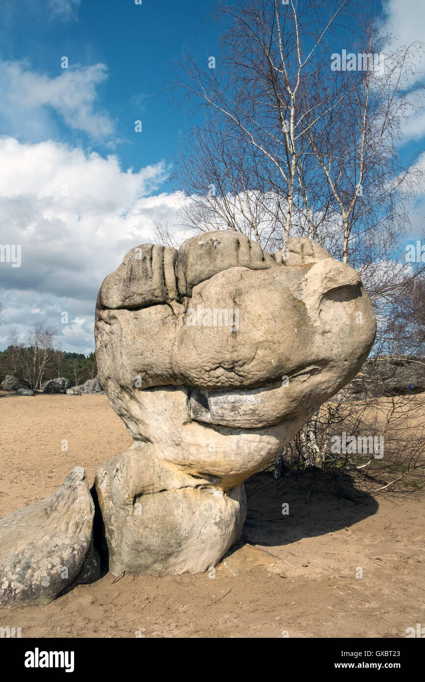 Cul De Chien (famosa rock) a Fontainebleau, Francia Foto Stock