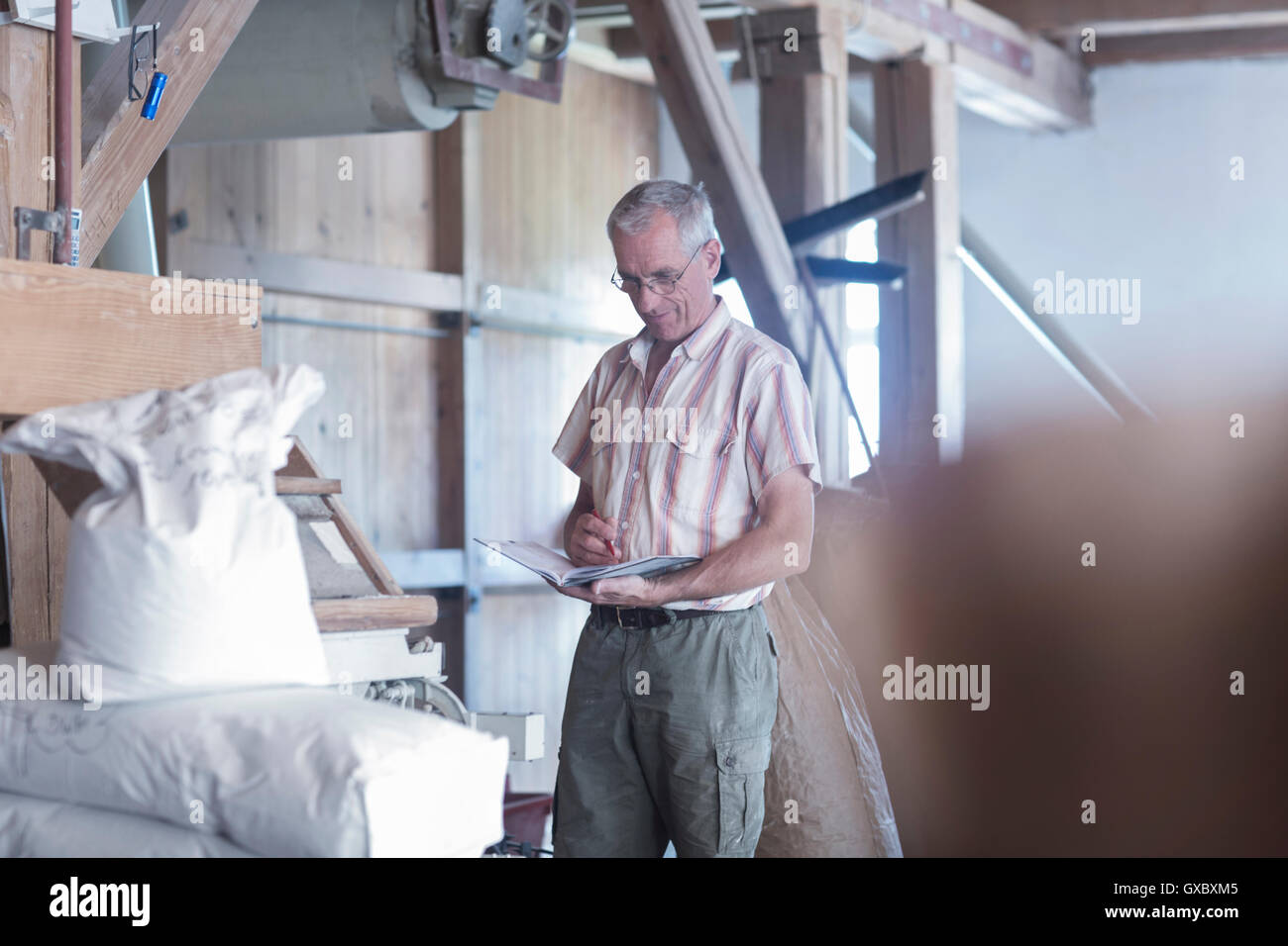 Maschio di monitoraggio miller saccheggiata di farina al mulino di grano Foto Stock