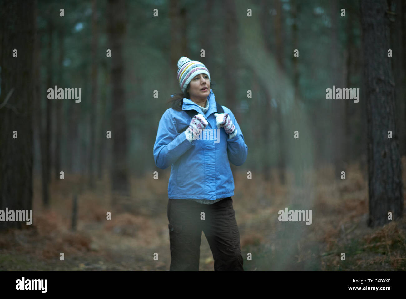 Escursionista femmina escursioni nella foresta Foto Stock