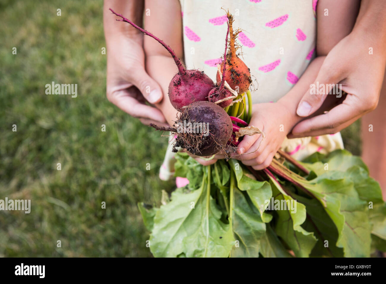 Madre e figlia giovane, giardinaggio insieme, figlia tenendo le verdure fresche, metà sezione Foto Stock
