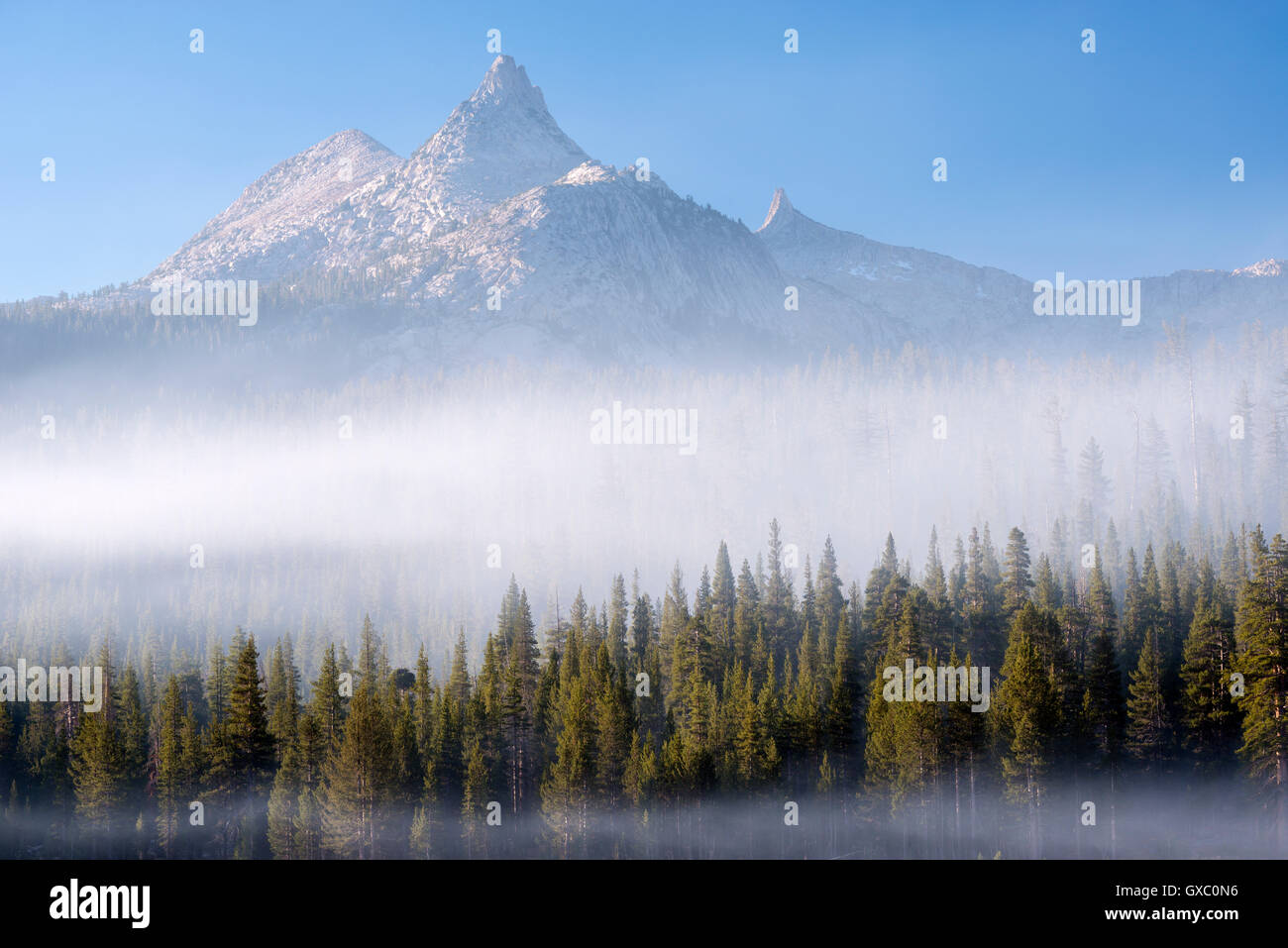 La nebbia che circonda la foresta al di sotto del picco di Unicorn, Yosemite National Park, California, Stati Uniti d'America. In autunno (ottobre) 2014. Foto Stock
