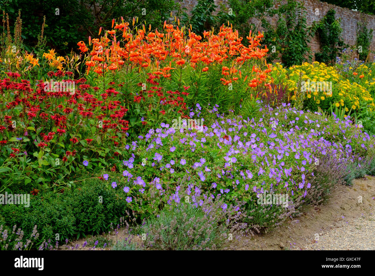 Giardino murato arbusti da fiore Foto Stock