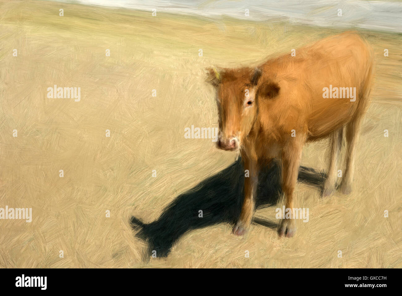 La pittura di marrone mucca in pascolo soleggiato Foto Stock