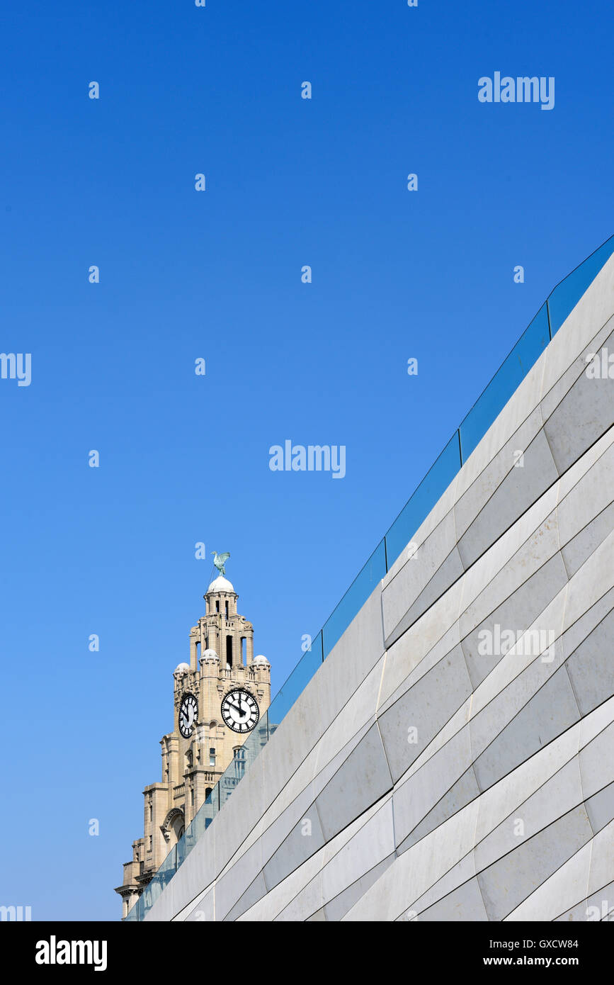 La parte superiore del Royal Liver Building di Liverpool che mostra il fegato Bird in cima alla torre dell orologio e la parete del museo di fegato Foto Stock