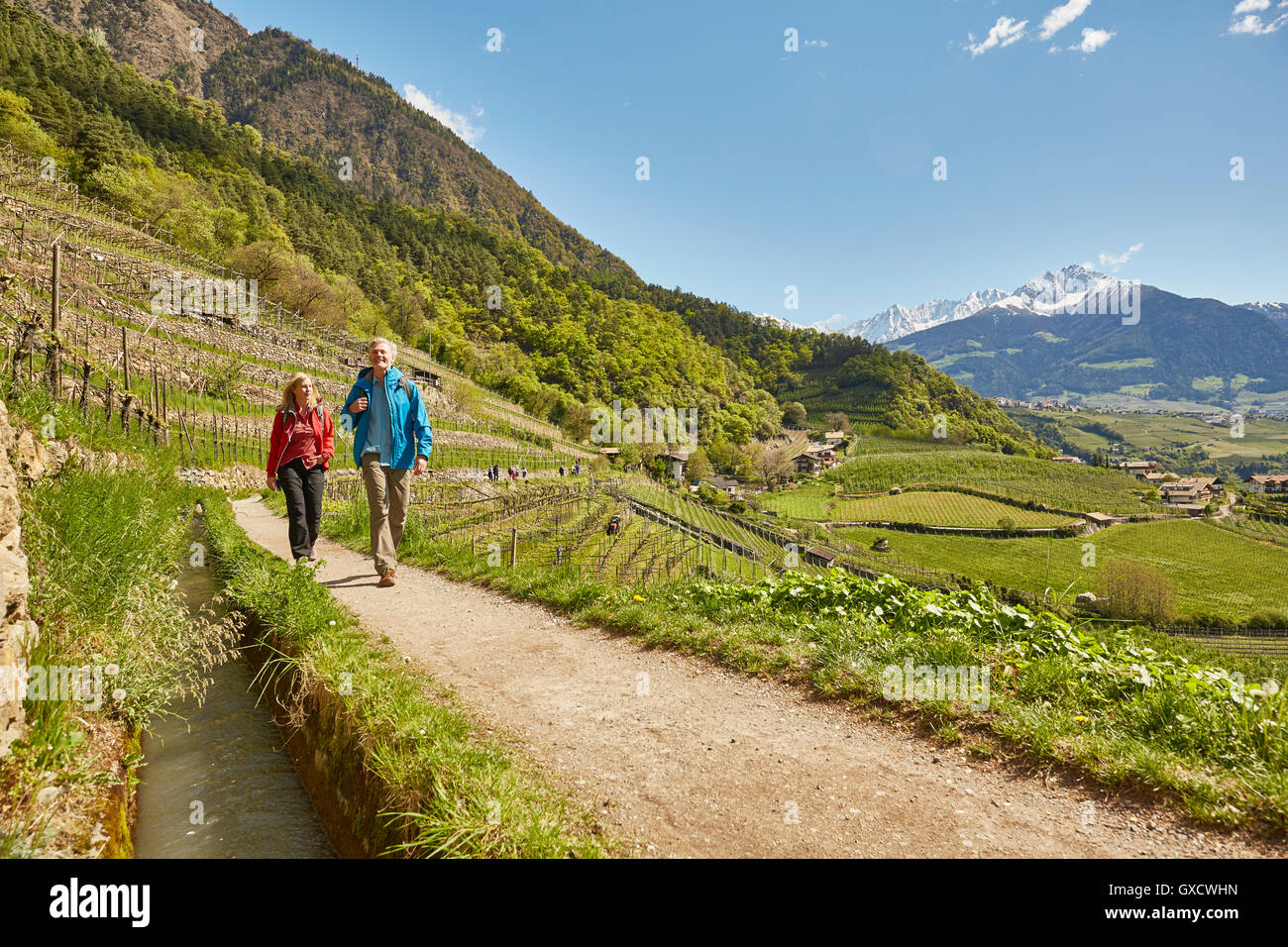 Coppia matura escursioni a piedi lungo la strada di campagna, Merano, Alto Adige, Italia Foto Stock