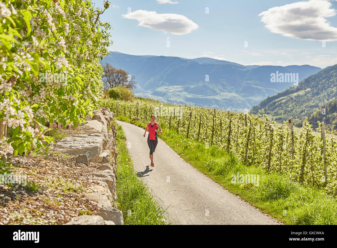 Giovane donna in corsa lungo la strada rurale, Merano, Alto Adige, Italia Foto Stock