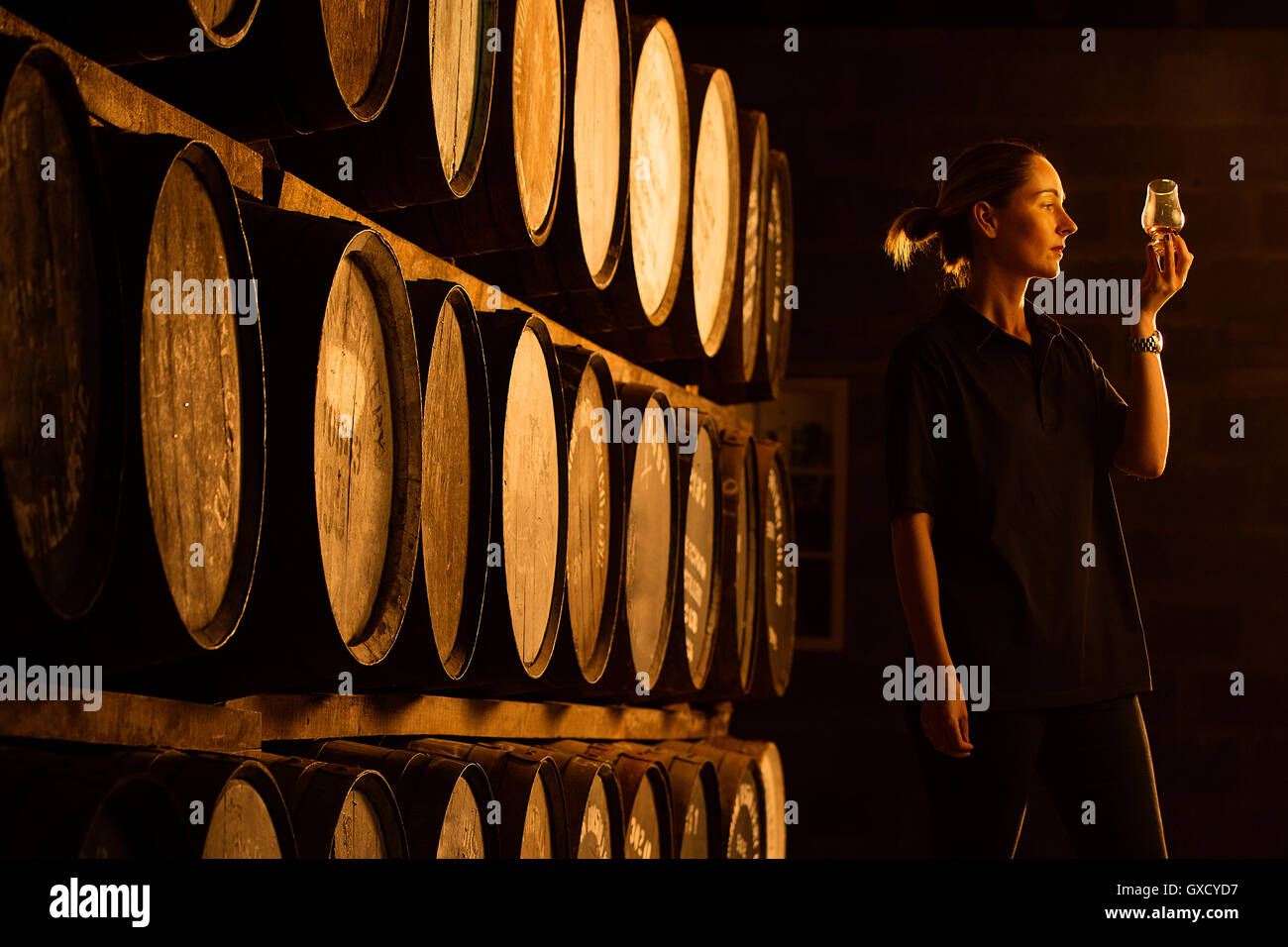Assaggiatore femmina guardando il colore del whisky in vetro alla distilleria di whisky Foto Stock