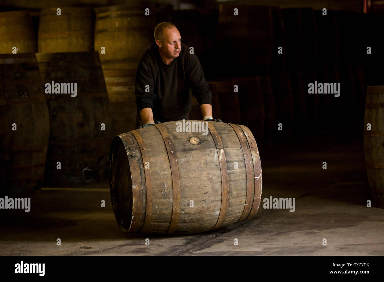 Lavoratore di whisky di rotolamento botte in distilleria di whisky Foto Stock