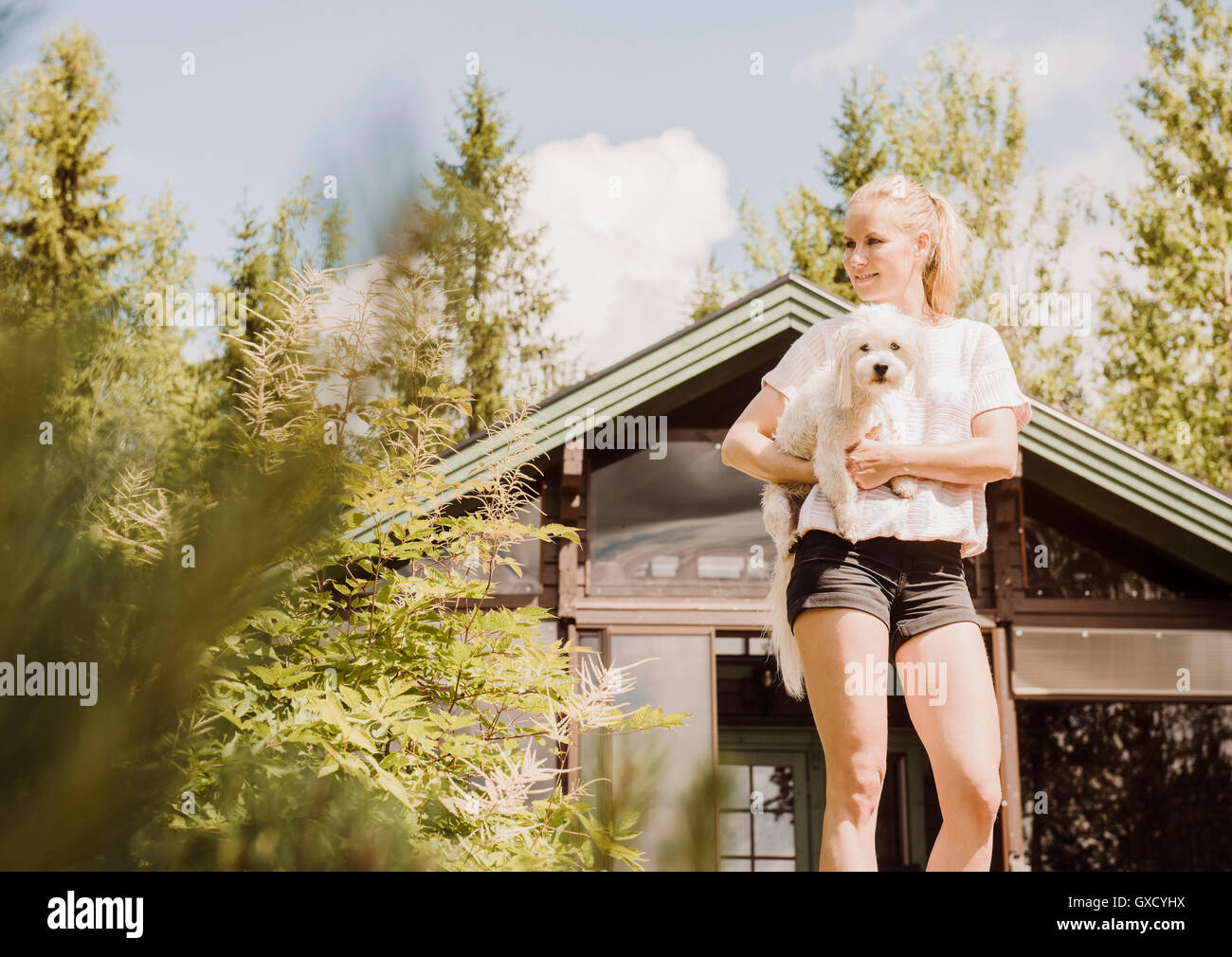 La donna nel giardino che trasportano coton de tulear cane, Orivesi, Finlandia Foto Stock
