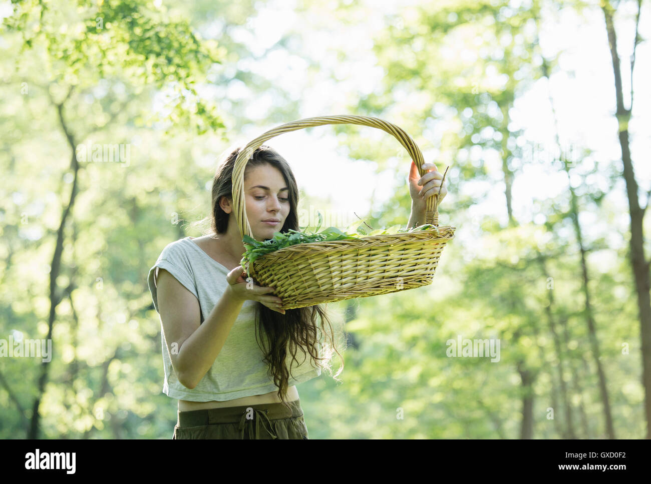 Giovane donna foraged odorosi di erbe selvatiche nella foresta, Vogogna, Provincia di Verbania, Piemonte, Italia Foto Stock