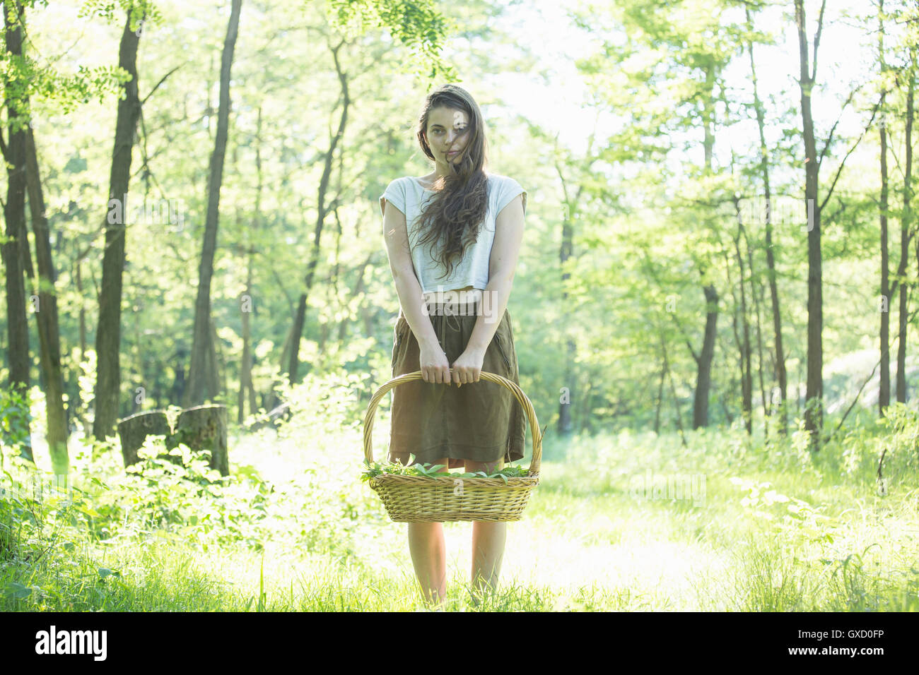 Ritratto di giovane donna rovistando erbe selvatiche nella foresta, Vogogna, Provincia di Verbania, Piemonte, Italia Foto Stock