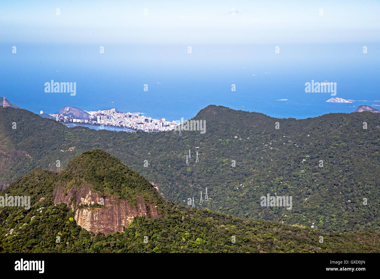 Foresta di Tijuca, Foresta Atlantica, Rio de Janeiro, Brasile Foto Stock