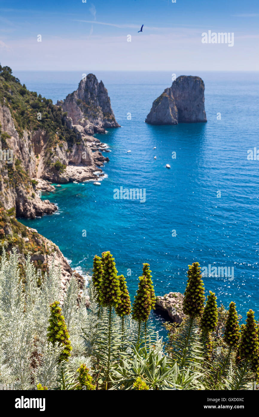 Le scogliere e le rocce in mare, Capri, Costiera Amalfitana, Italia Foto Stock