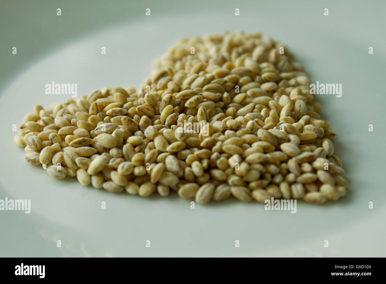 Orzo Grano a forma di cuore sulla piastra Foto Stock