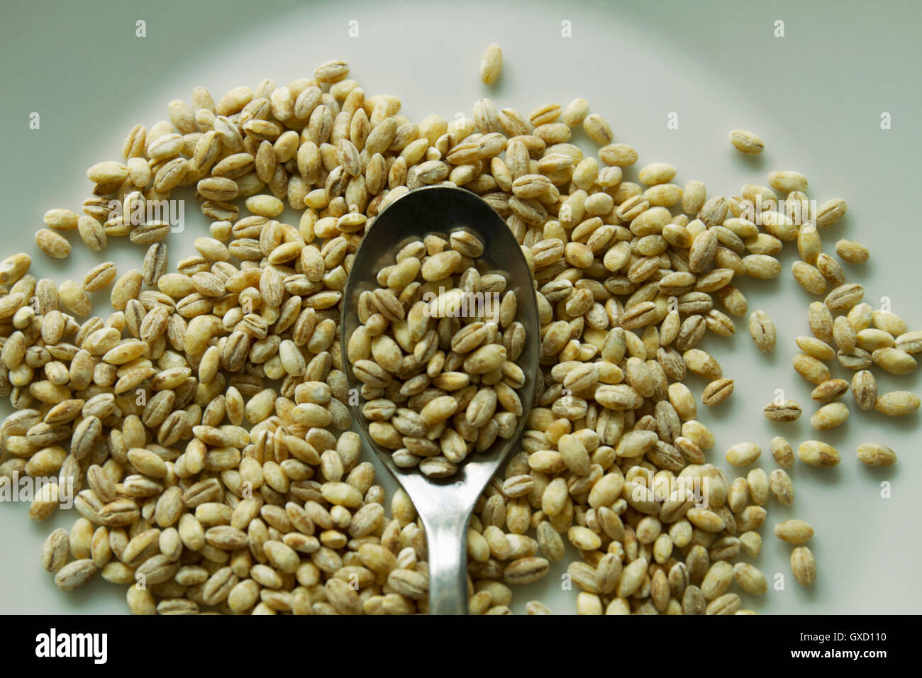 L'orzo in chicchi con paletta sulla piastra Foto Stock