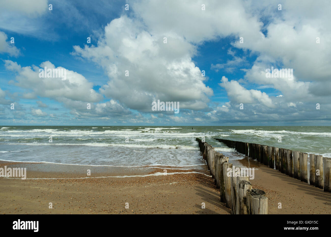In legno e frangiflutti seascape, Domburg, Zeeland, Paesi Bassi Foto Stock