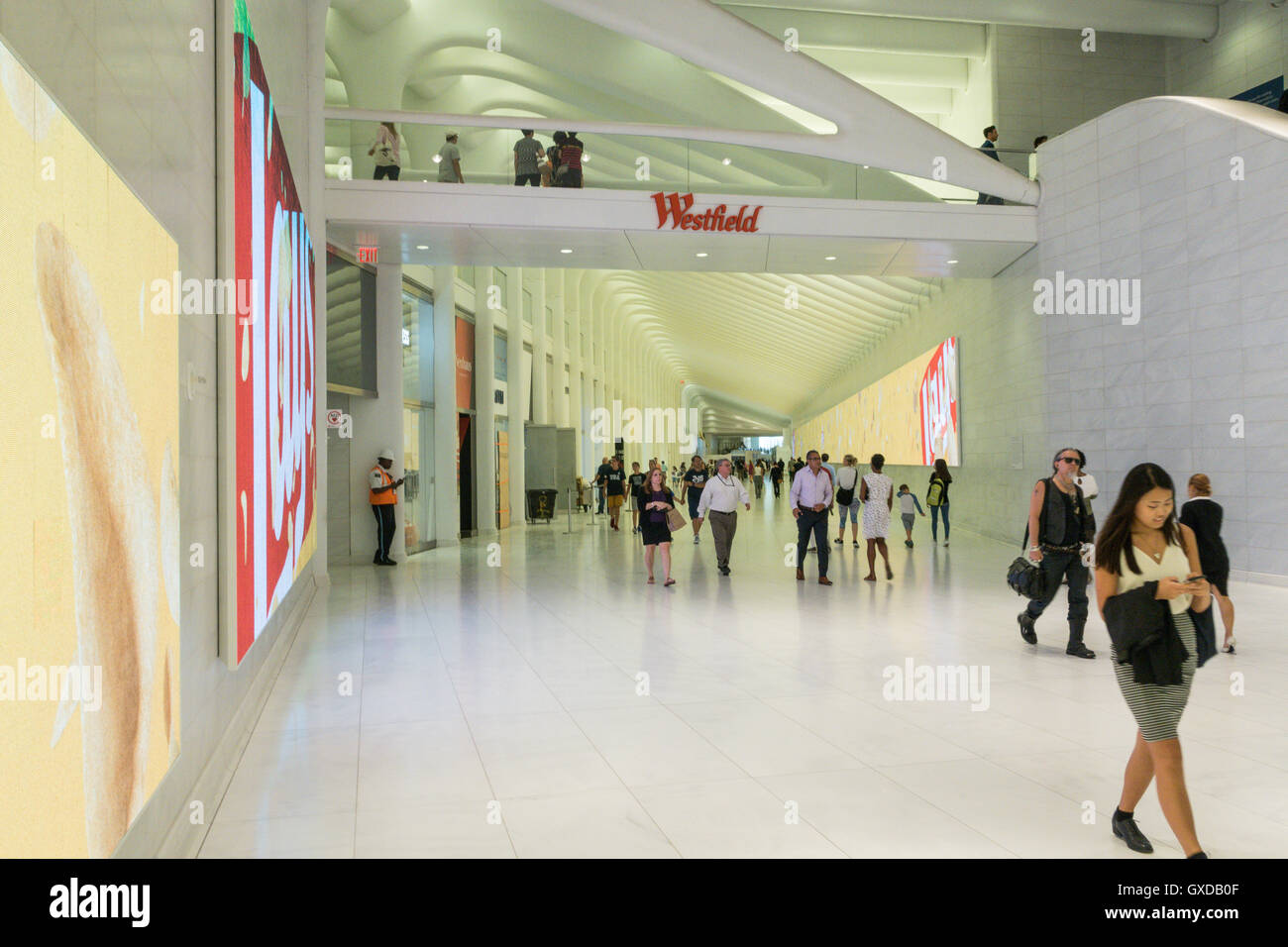 Westfield World Trade Center, la parte inferiore di Manhattan, New York, Stati Uniti d'America Foto Stock