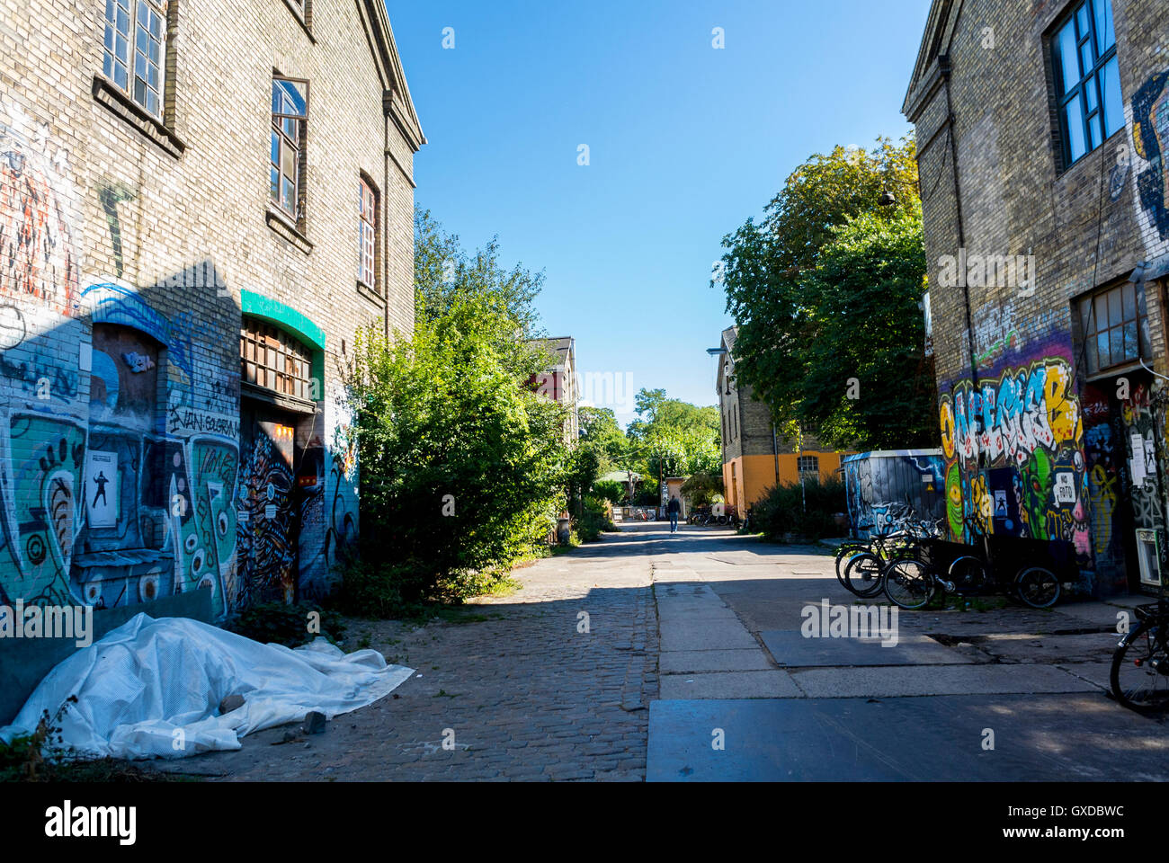 Copenhagen, Danimarca, parete colorata Graffitti, Arte di strada, dipinta sulla facciata di edificio in Christiana quartiere Foto Stock