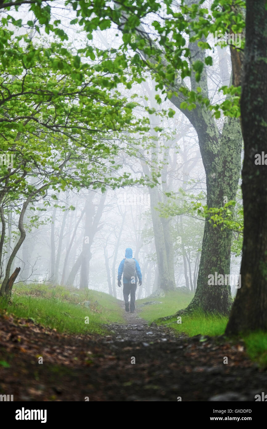 Vista posteriore dell'uomo escursioni nel Parco Nazionale di Shenandoah, Virginia, Stati Uniti d'America Foto Stock
