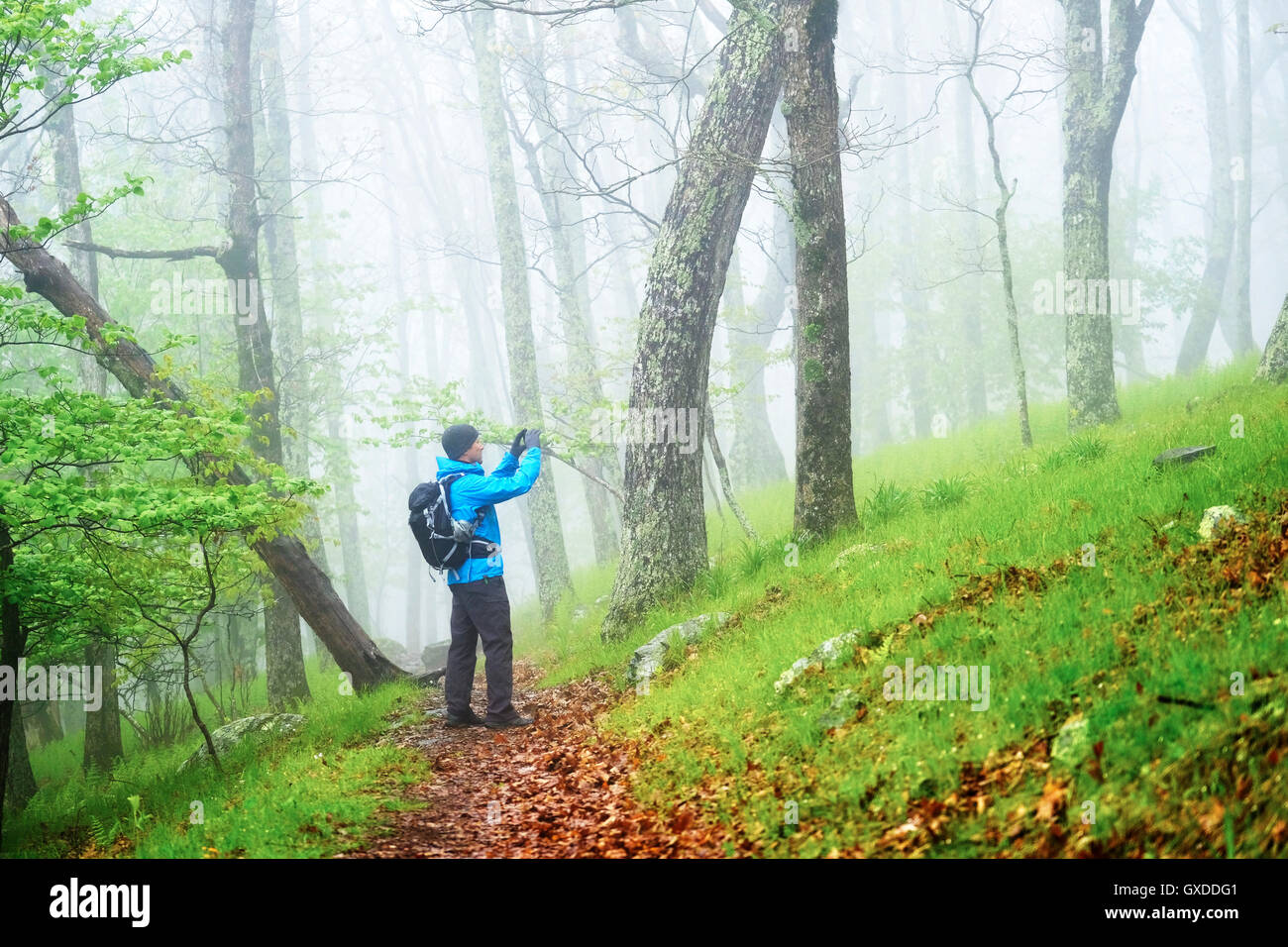 L'uomo prendendo fotografia durante le escursioni nel Parco Nazionale di Shenandoah, Virginia, Stati Uniti d'America Foto Stock