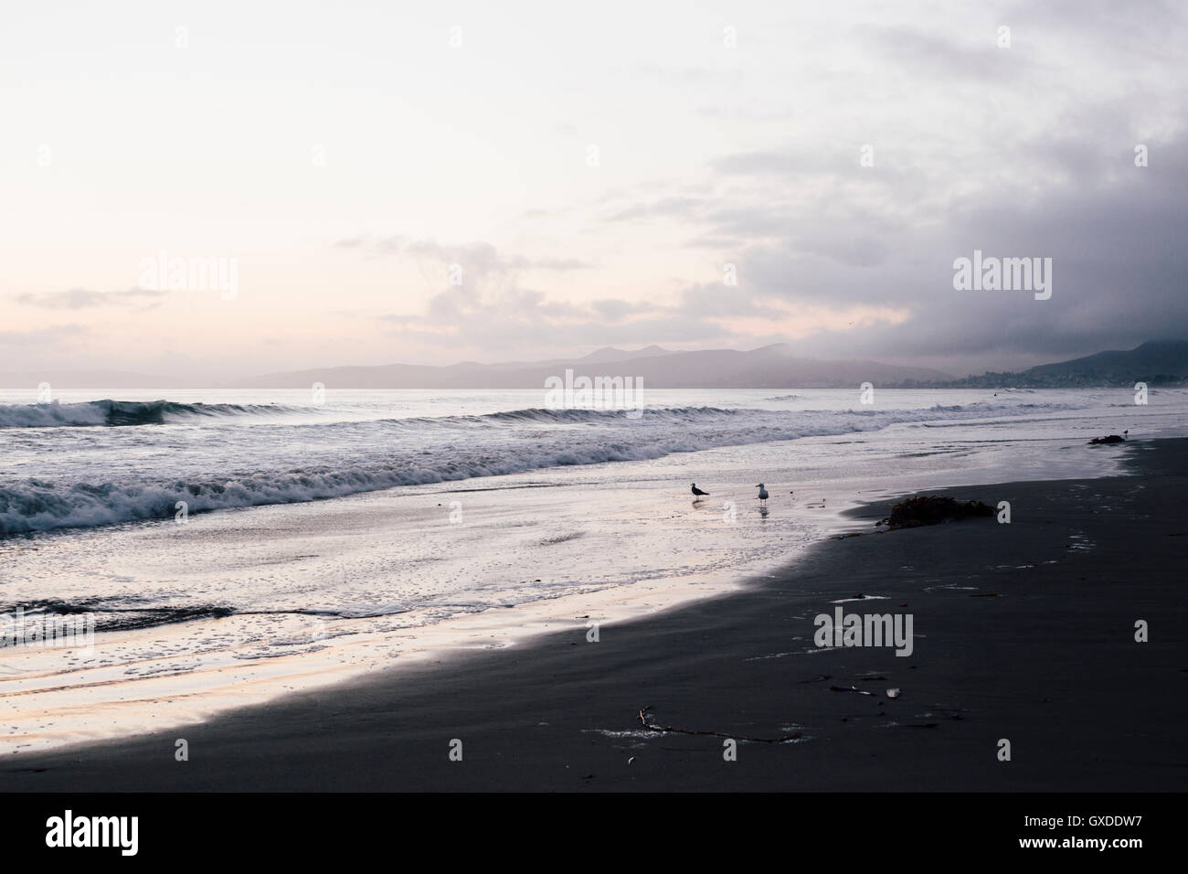 Spiaggia e seascape all'alba, Morro Bay, CALIFORNIA, STATI UNITI D'AMERICA Foto Stock