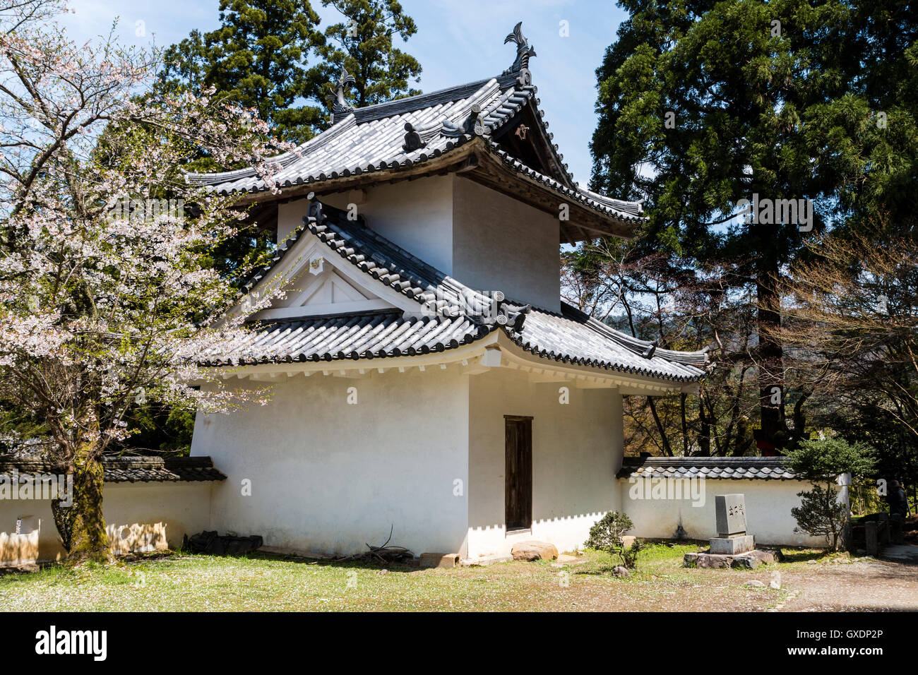 Giappone, Izushi castello. L'angolo ovest due livello sumi-yagura, torretta, con intonaco dobei pareti su entrambi i lati e la fioritura dei ciliegi nel sole splendente. Foto Stock