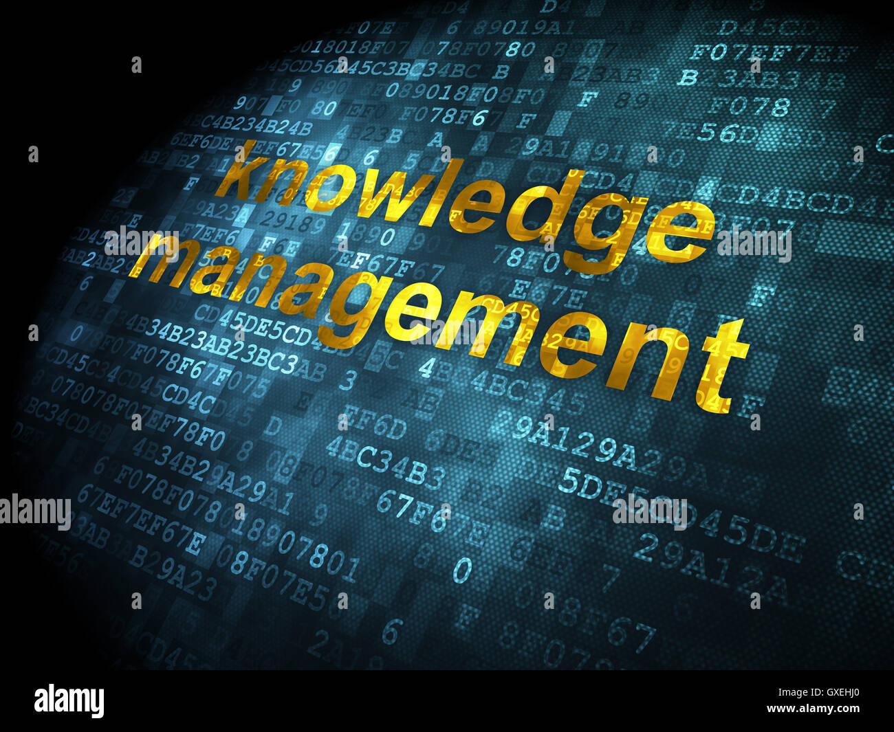 Il concetto di istruzione: la gestione della conoscenza su sfondo digitale Foto Stock