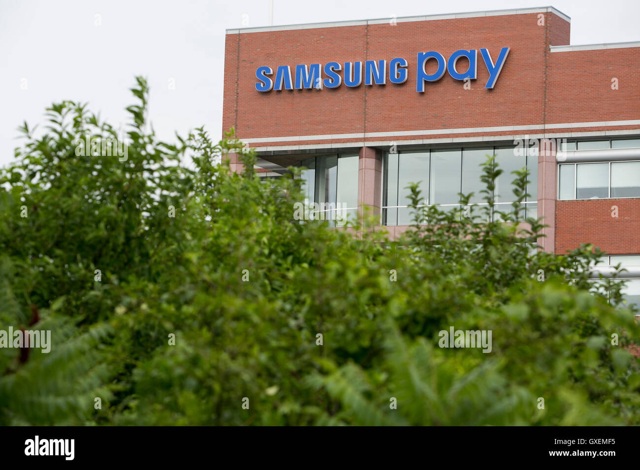 Un logo segno al di fuori della sede della Samsung pagare a Burlington, Massachusetts, il 13 agosto 2016. Foto Stock