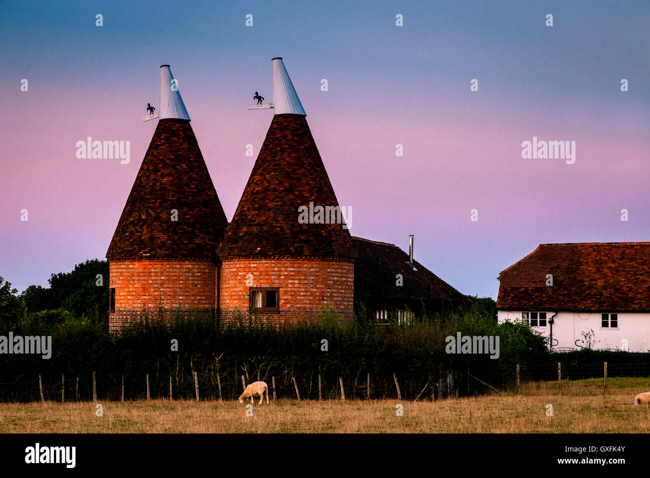 Oast tradizionali case, Kent, Regno Unito Foto Stock