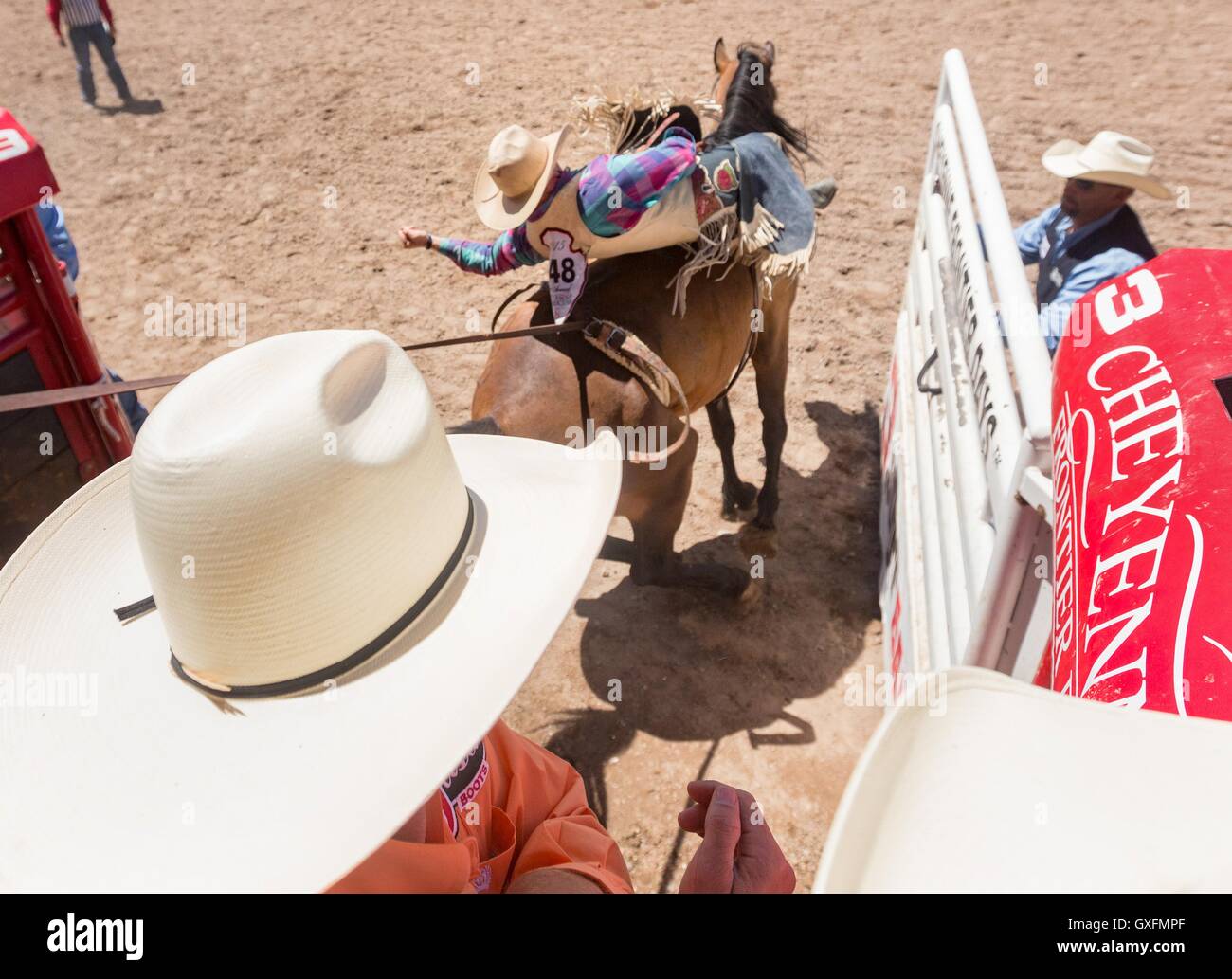 Un bareback rider si blocca durante il rodeo concorrenza a Cheyenne Frontier Days Luglio 25, 2015 in Cheyenne Wyoming. Giorni di frontiera celebra le tradizioni del cowboy del west con un rodeo, parata e fiera. Foto Stock