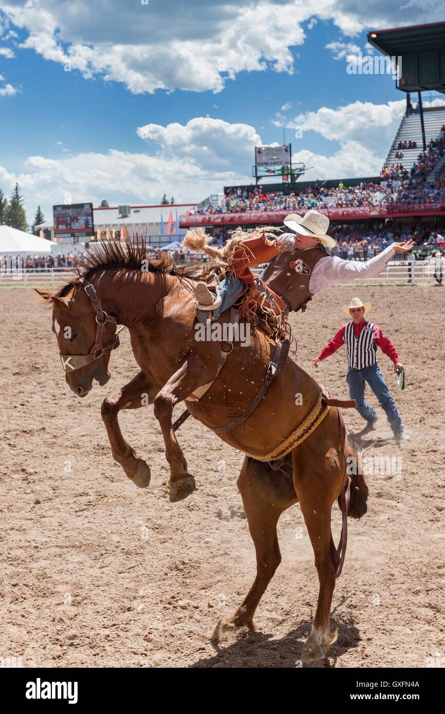 Un bareback rider si blocca durante il rodeo concorrenza a Cheyenne Frontier Days Luglio 25, 2015 in Cheyenne Wyoming. Giorni di frontiera celebra le tradizioni del cowboy del west con un rodeo, parata e fiera. Foto Stock