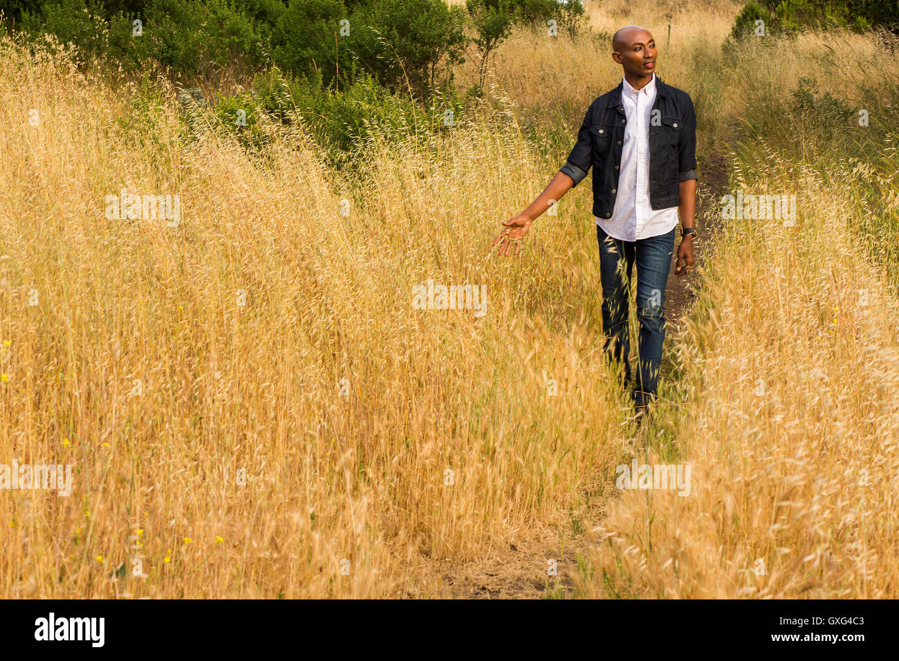 Malinconici gay uomo nero a piedi in erba alta Foto Stock