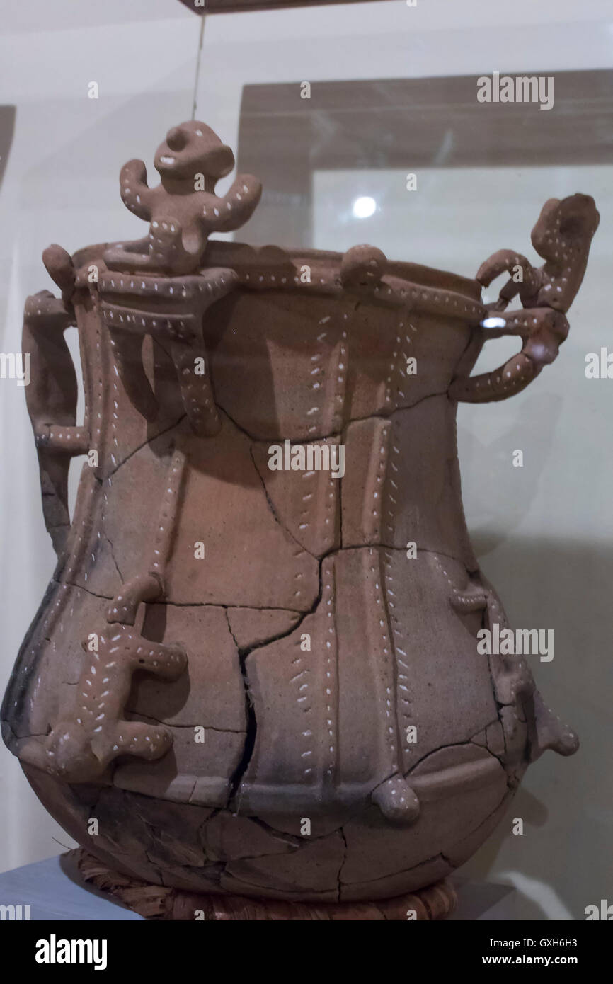 Museo archeologico di Tierradentro Foto Stock
