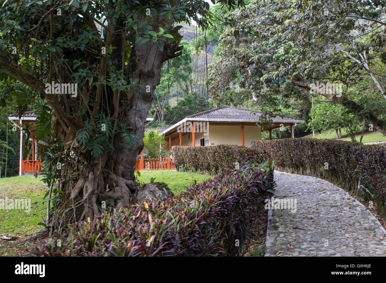 Ingresso al museo archeologico di Tierradentro Foto Stock