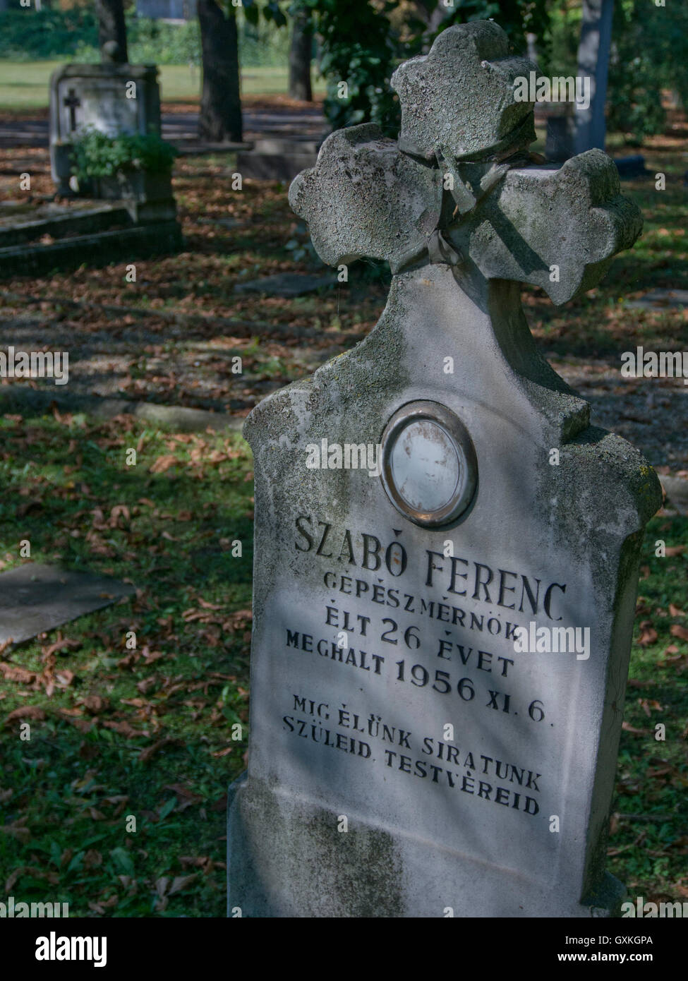 Tombe dei giovani che sono morti quando le truppe dall'Unione Sovietica schiacciato la rivoluzione ungherese contro la dominazione sovietica del 23 ottobre 1956, 60 anni fa. Il cimitero di Kerepesi.Budapest. Ungheria Foto Stock