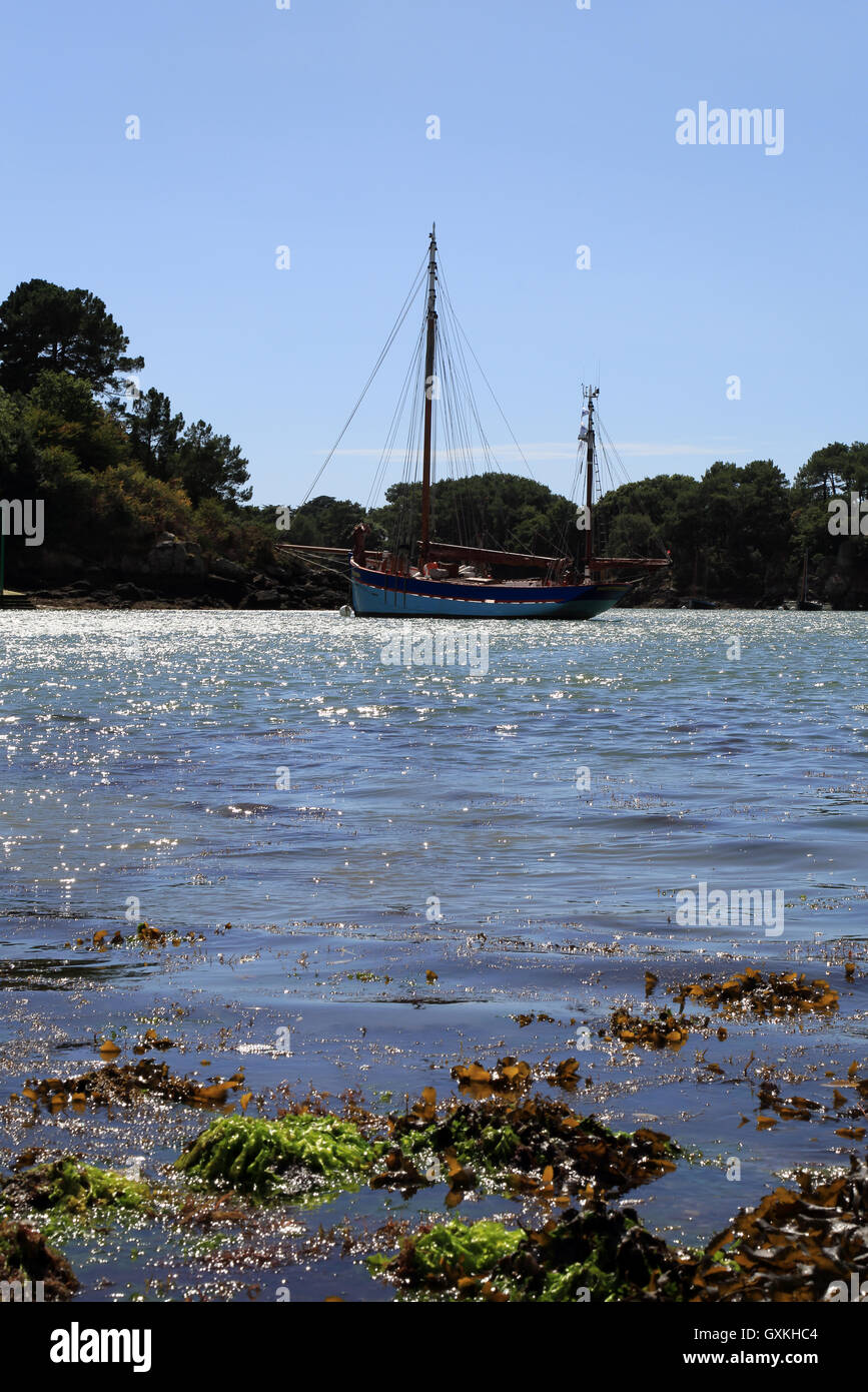 Vista su Porto Anna dalla Presqu'ile de conleau ad alta marea con barche ormeggiate, Vannes, Morbihan, in Bretagna, in Francia, in Europa Foto Stock