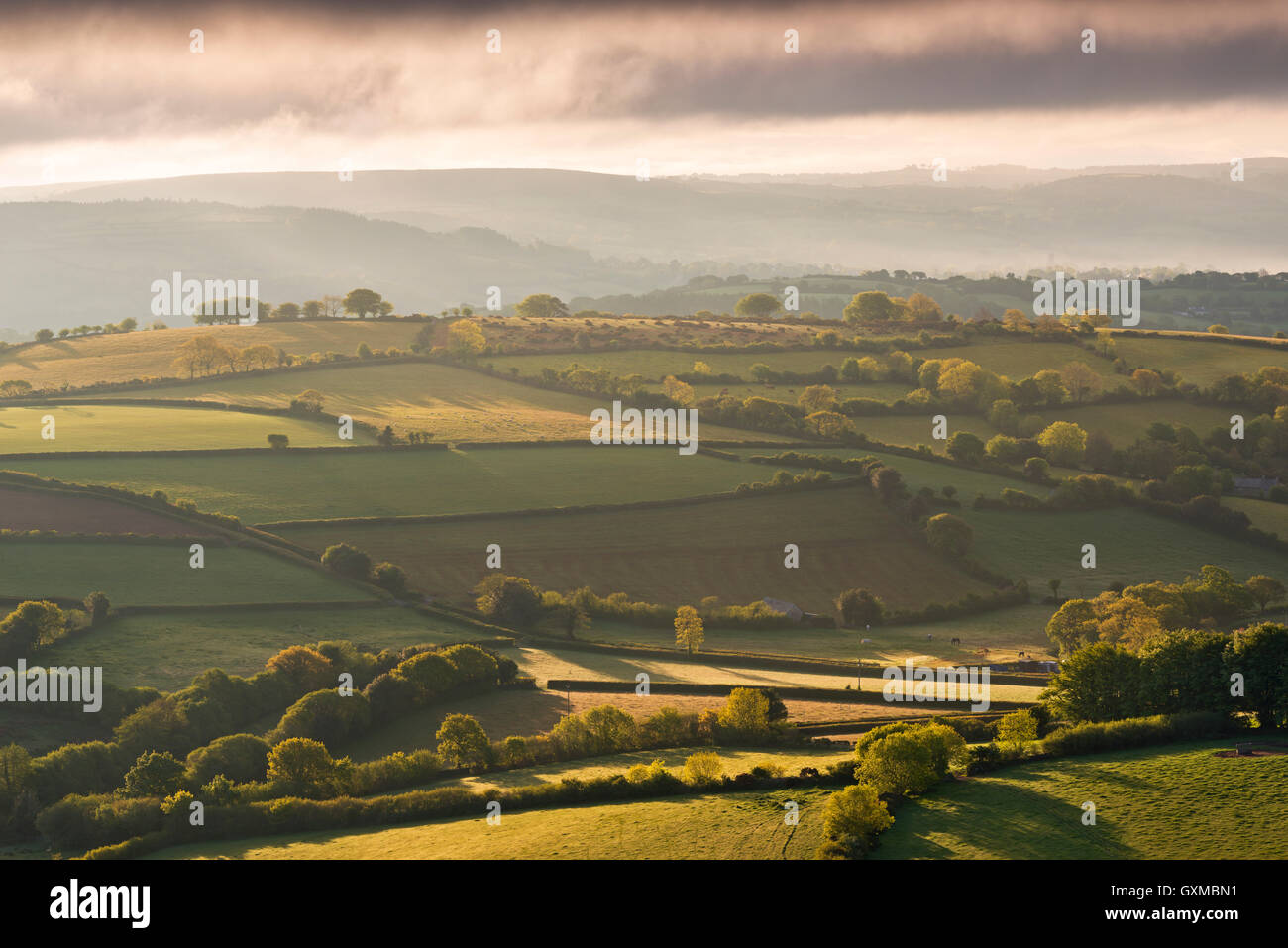 Il rotolamento Dartmoor campagna all'alba, vicino a Chagford, Devon, Inghilterra. Molla (maggio) 2015. Foto Stock