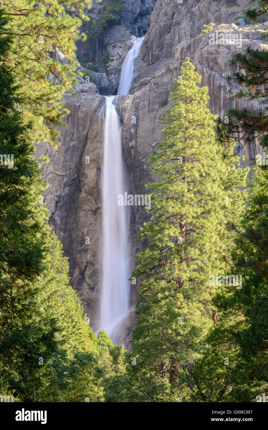 Abbassare Yosemite Falls Yosemite Valley, Califorinia, STATI UNITI D'AMERICA. Molla (Giugno) 2015. Foto Stock