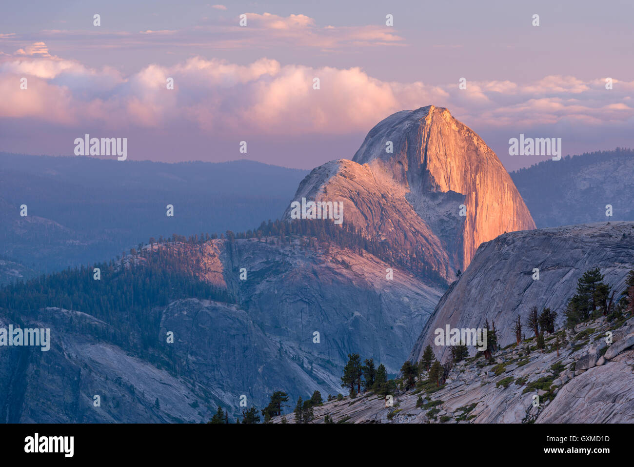 Ultima luce sulla Half Dome, fotografati da Olmsted Point, Yosemite National Park, California, Stati Uniti d'America. Per il periodo estivo (Giugno) 2015. Foto Stock