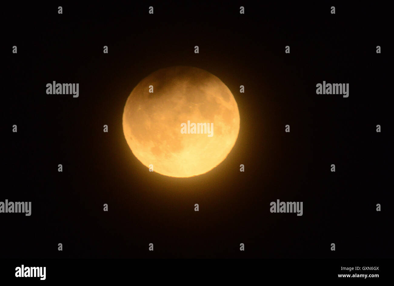 Brecon Galles, UK. 16 Sett 2016. Il Regno Unito ha conosciuto un Harvest Moon Oggi (Venerdì 16 Settembre), un evento che non accadrà di nuovo fino al 2024, e fu visibile dall Europa, Africa, Australia e Asia per circa quattro ore. Un Harvest Moon rende l'equinozio autunnale e si verifica quando la luna piena appare a salire come il sole tramonta. Qui, la luna è visibile al di sopra del Brecon Becons, Galles Credit: Robert Melen/Alamy Live News Foto Stock