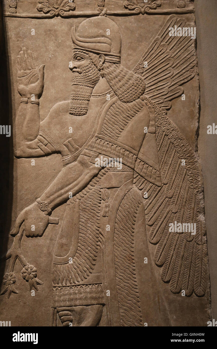 Rilievo con avvolto genius. Ix secolo A.C. Neo-Assyrian. Regno di Ashurnasirpal. Nimrud (antica Kalhu). Mesopotamia settentrionale. Foto Stock