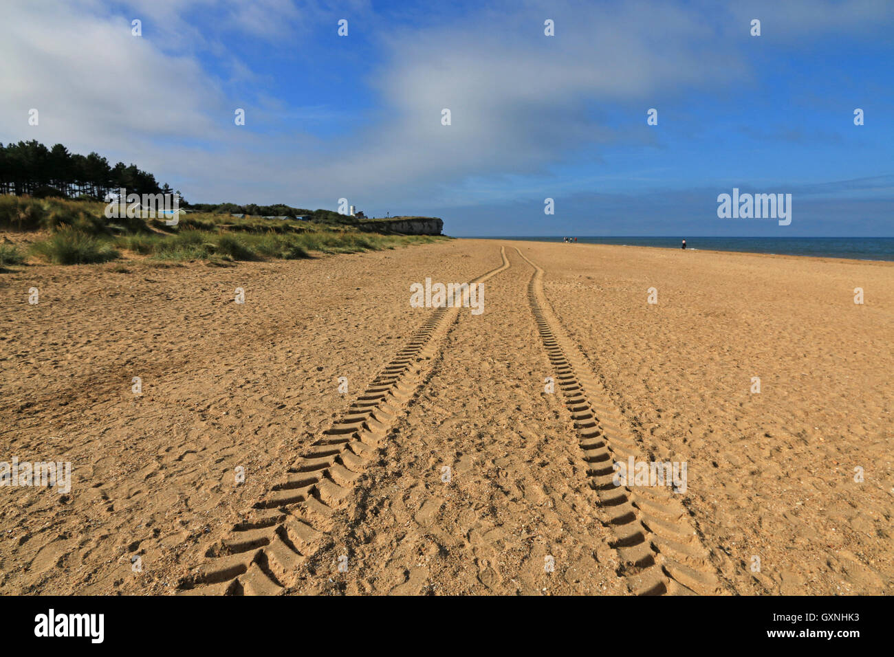 Tracce di pneumatici lungo una spiaggia di sabbia Foto Stock