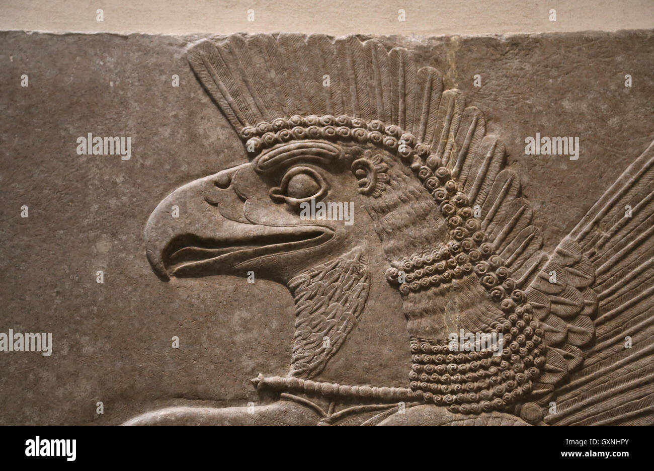 Sollievo. Eagle-intitolata dio Nisrok. Ix secolo A.C. Neo-Assyrian. Regno di Ashurnasirpal. Nimrud (antica Kalhu). Mesopotamia Foto Stock