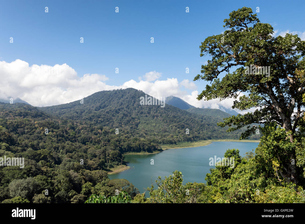 La foresta pluviale e il lago di Bali. Foto Stock