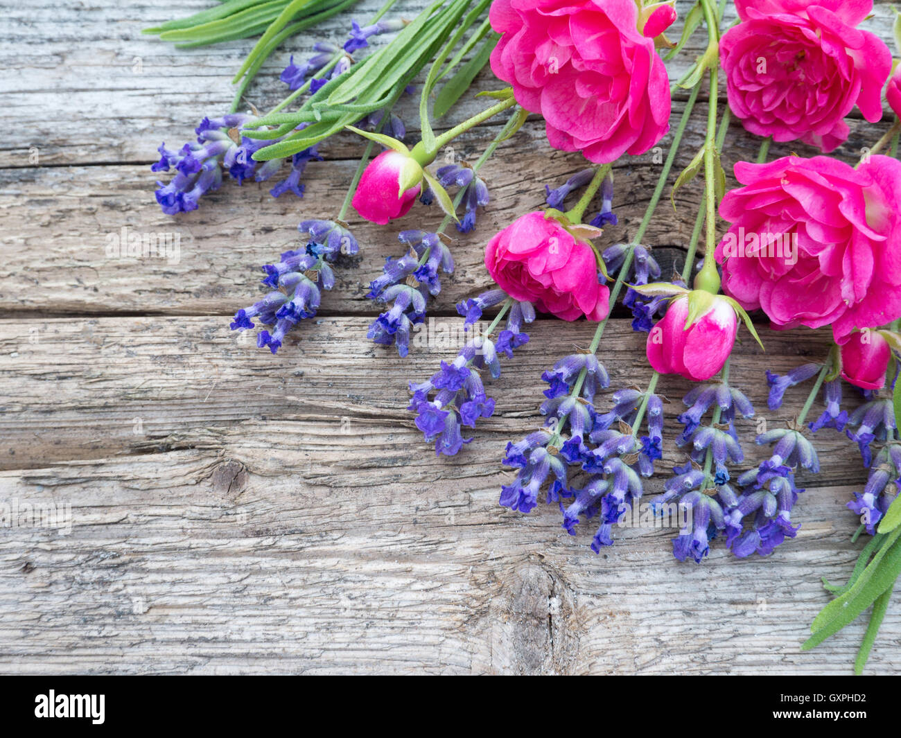 Piccolo vibrante rose rosa e la Provenza profumo di lavanda sul vecchio weathered tagliere in legno Foto Stock