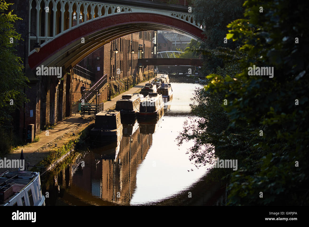 Manchester castleield battelli viadotto ferroviario ponte city center attraverso l'architettura golden sunshine sunny home narr Foto Stock