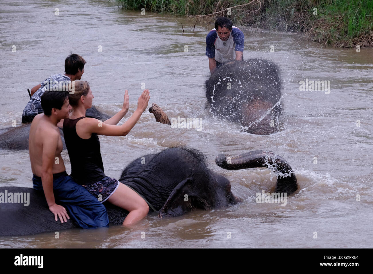 Un elefante che sprigola acqua sulla schiena e gioca con un turista e un mahout nel fiume Pai nella provincia di Mae Hong Son, Thailandia del Nord Foto Stock