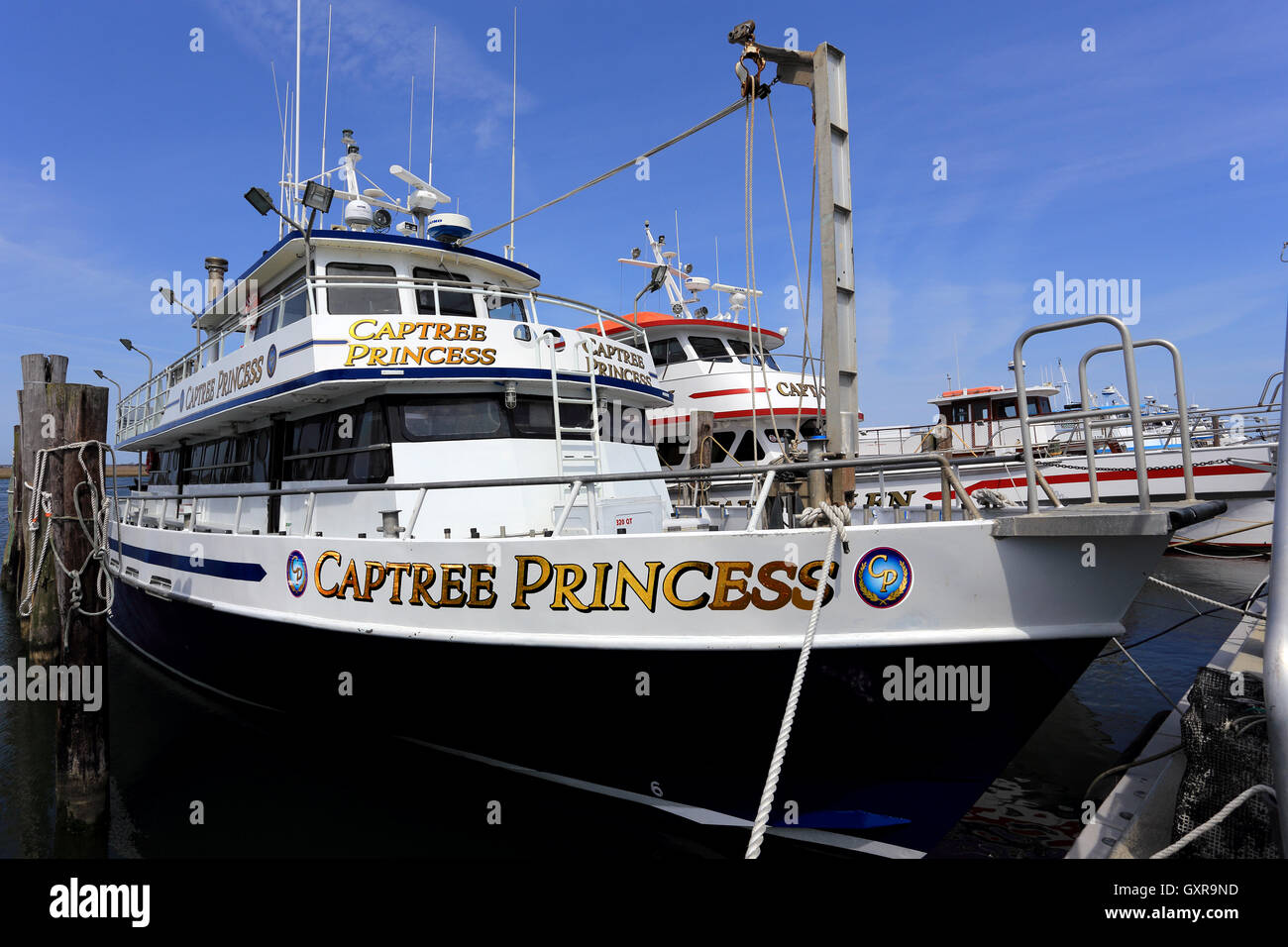 Charter Barche da pesca Captree bacino barca Long Island New York Foto Stock