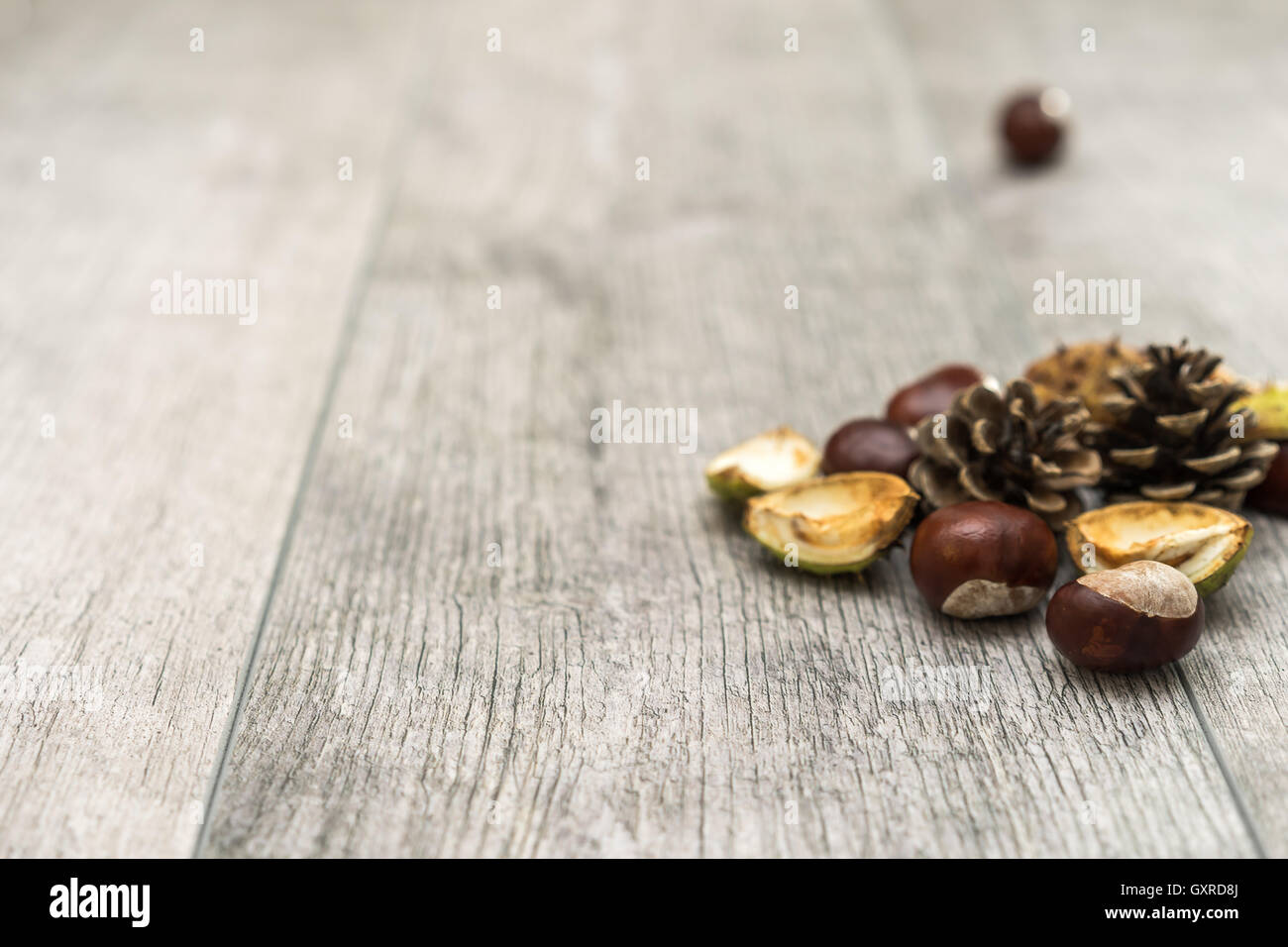 Le castagne e pigne sul tavolo di legno Foto Stock