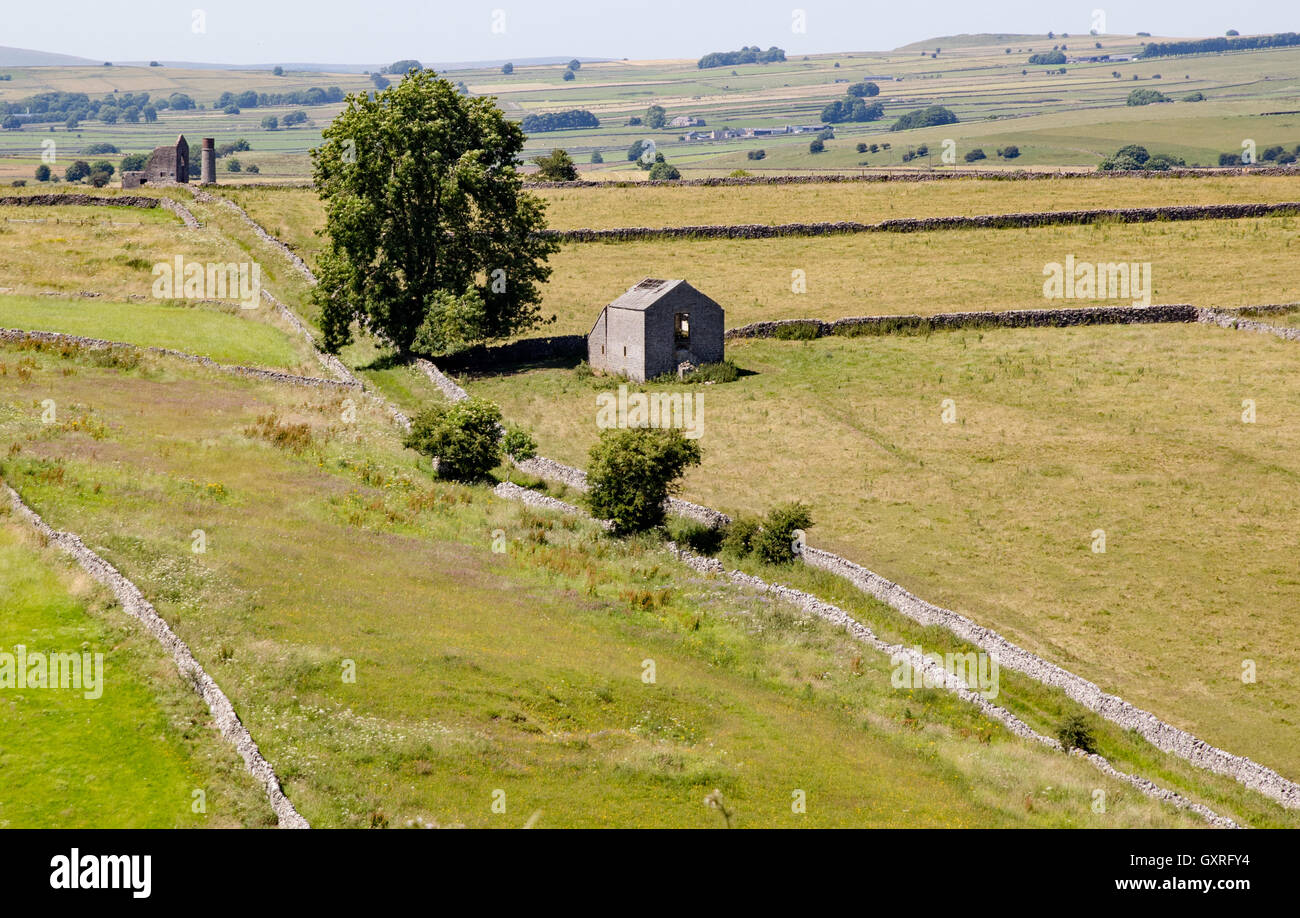 Il picco del bianco del Derbyshire vicino a Sheldon e la gazza miniera che mostra un green lane a secco con pareti in pietra calcarea e fienile di campo Foto Stock
